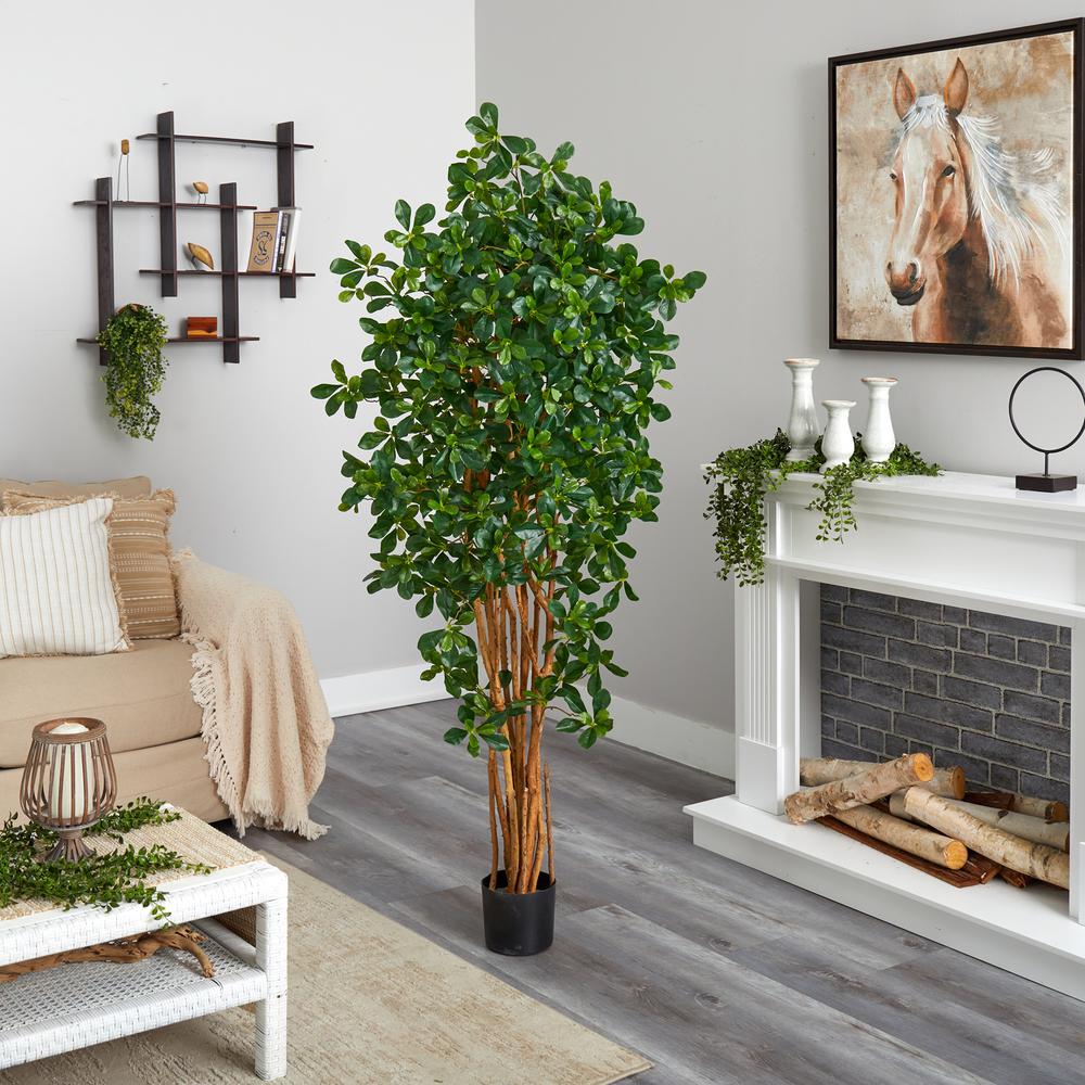 6ft. Black Olive Silk Tree. Picture 6
