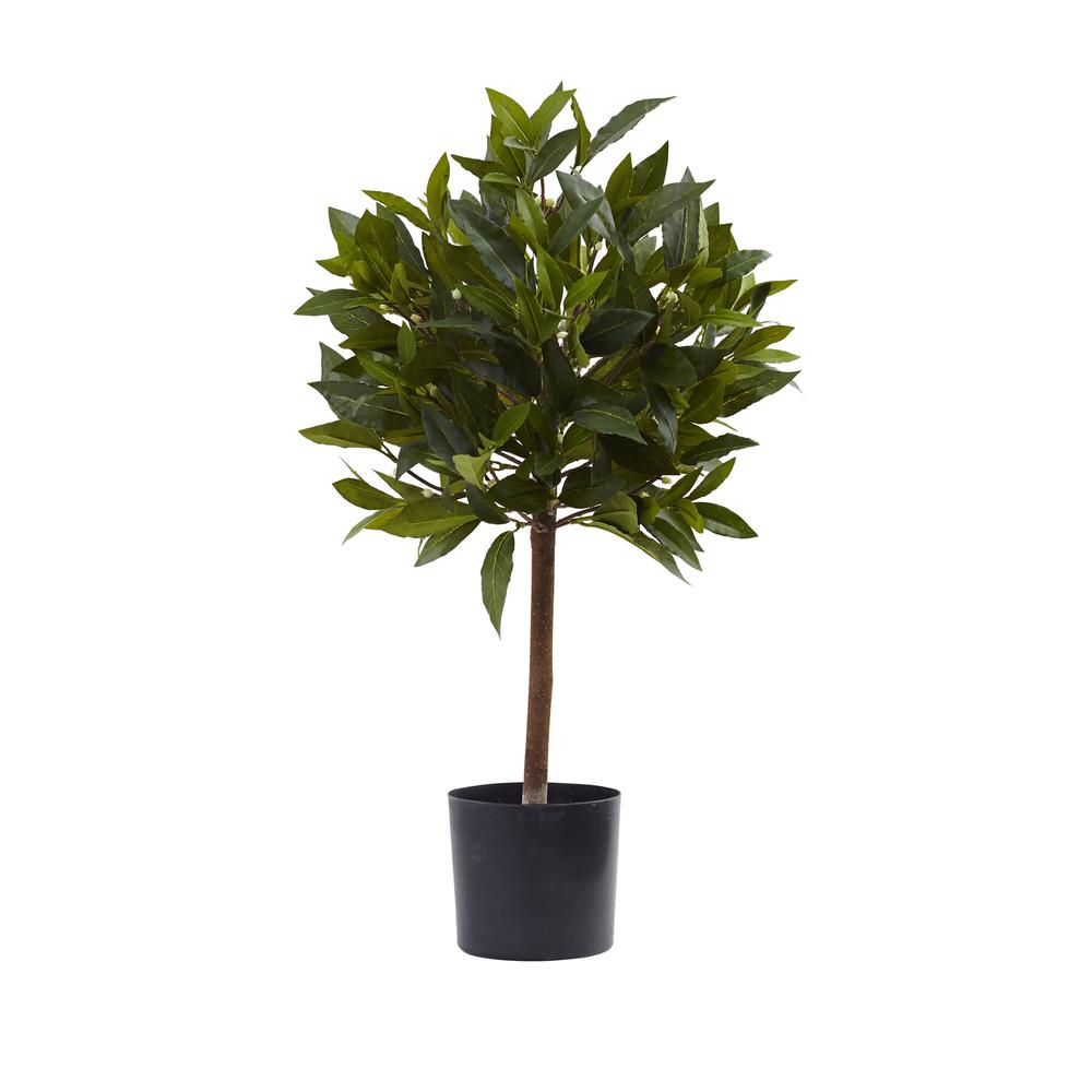 2ft. Sweet Bay Mini Ball Topiary. Picture 1