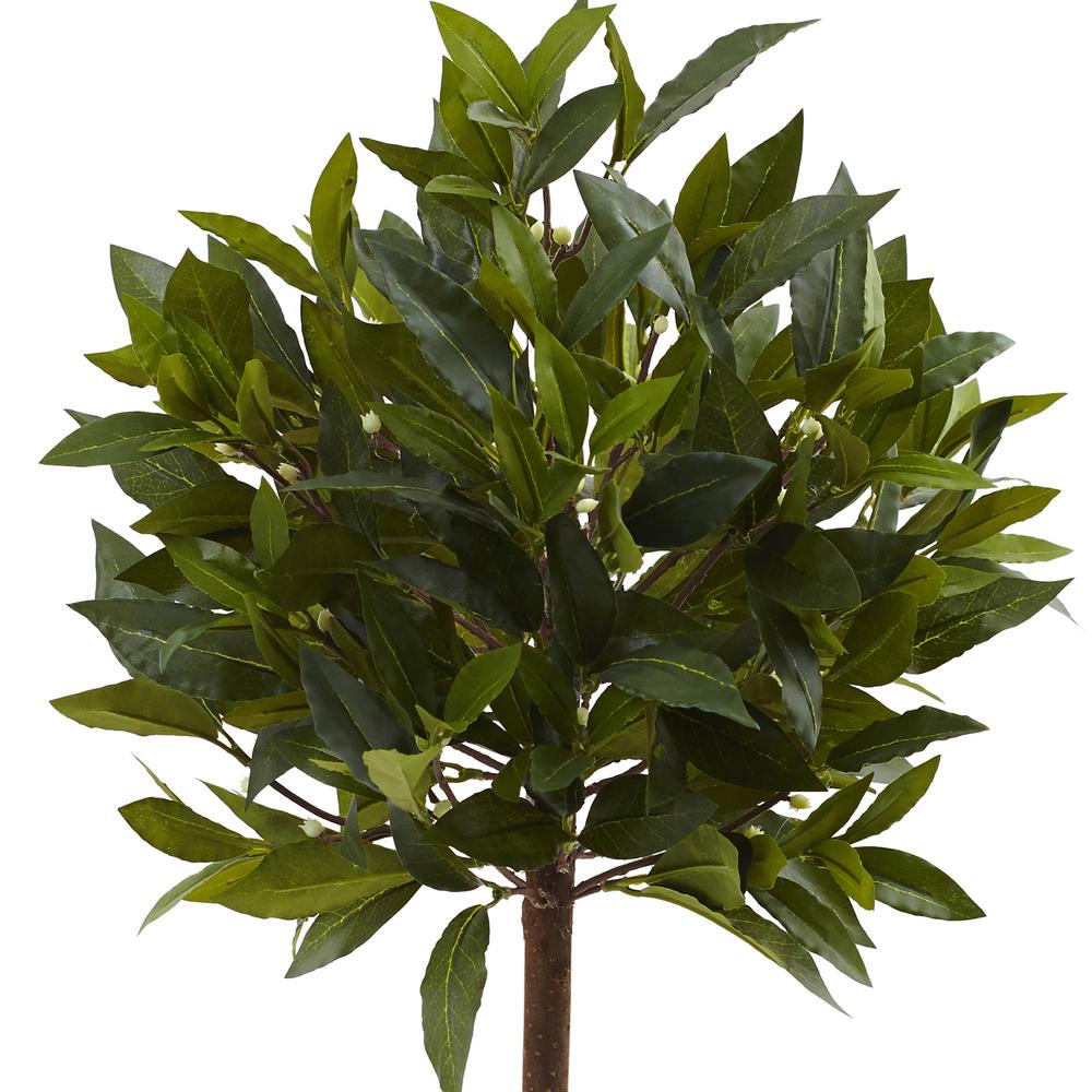 2ft. Sweet Bay Mini Ball Topiary. Picture 4