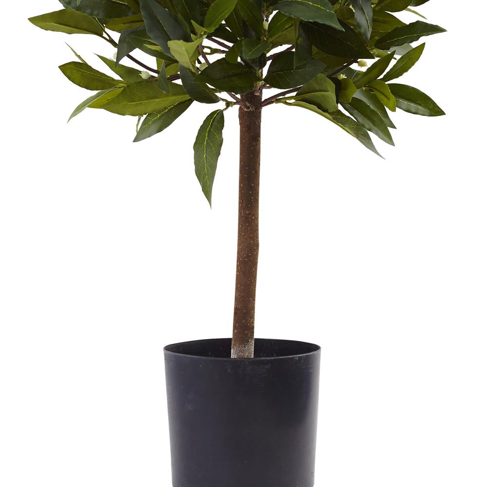 2ft. Sweet Bay Mini Ball Topiary. Picture 3