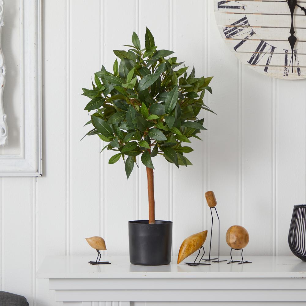 2ft. Sweet Bay Mini Ball Topiary. Picture 2