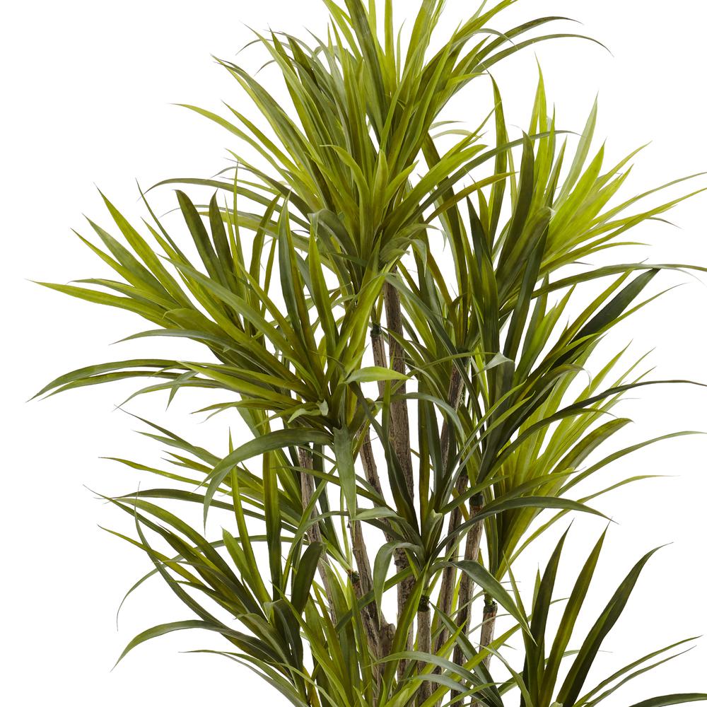 5ft. Dracaena Silk Tree. Picture 3