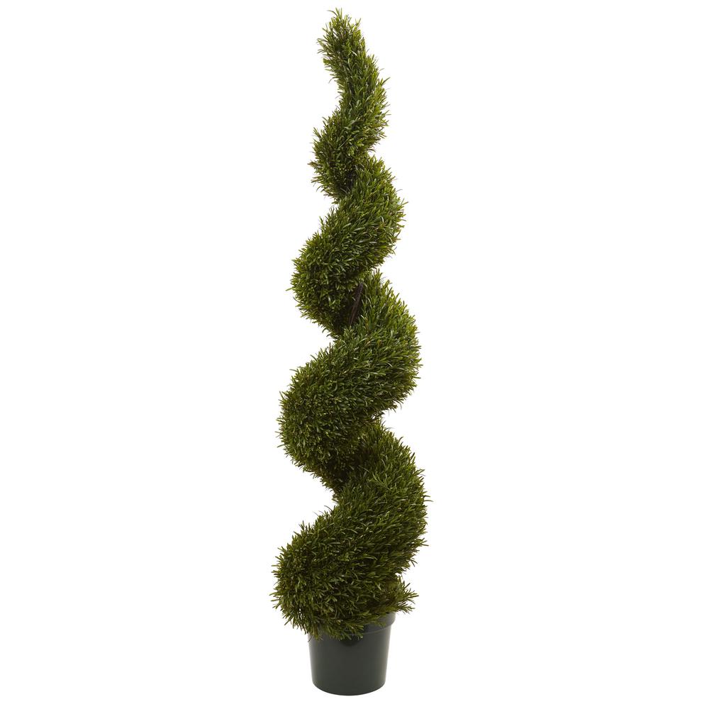 6ft. Rosemary Spiral Tree (Indoor/Outdoor). Picture 1