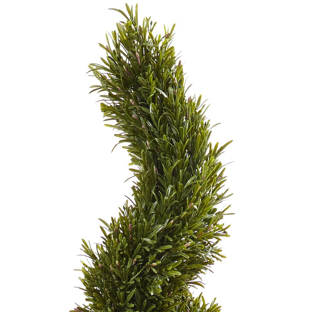 6ft. Rosemary Spiral Tree (Indoor/Outdoor). Picture 2