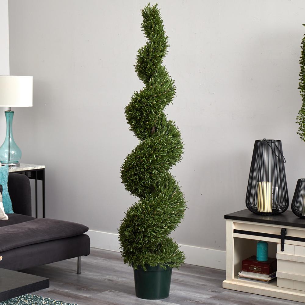 6ft. Rosemary Spiral Tree (Indoor/Outdoor). Picture 4