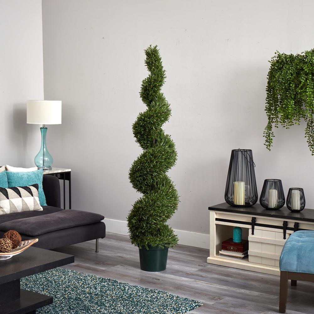 6ft. Rosemary Spiral Tree (Indoor/Outdoor). Picture 5