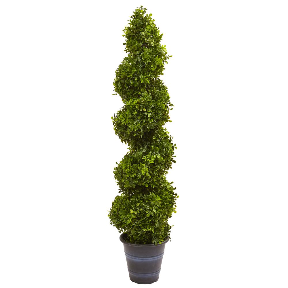 Boxwood Spiral Topiary with Planter (Indoor/Outdoor). Picture 1