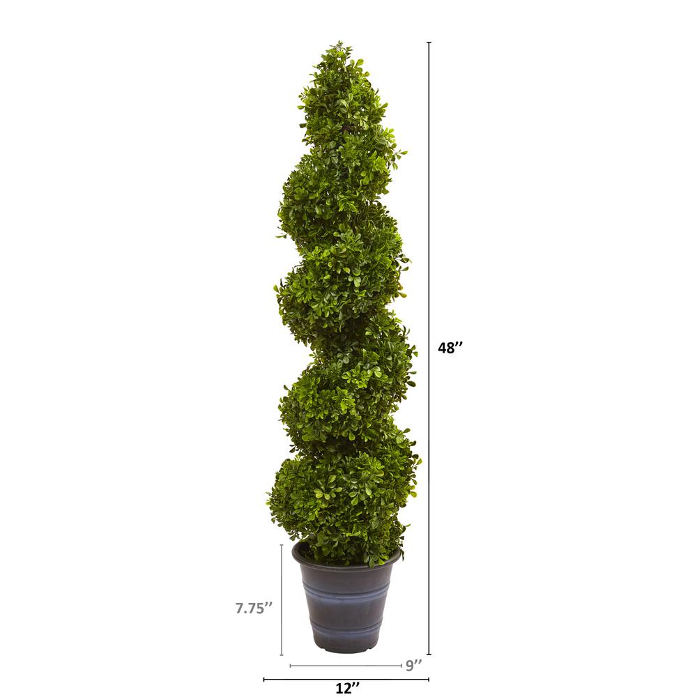 Boxwood Spiral Topiary with Planter (Indoor/Outdoor). Picture 3