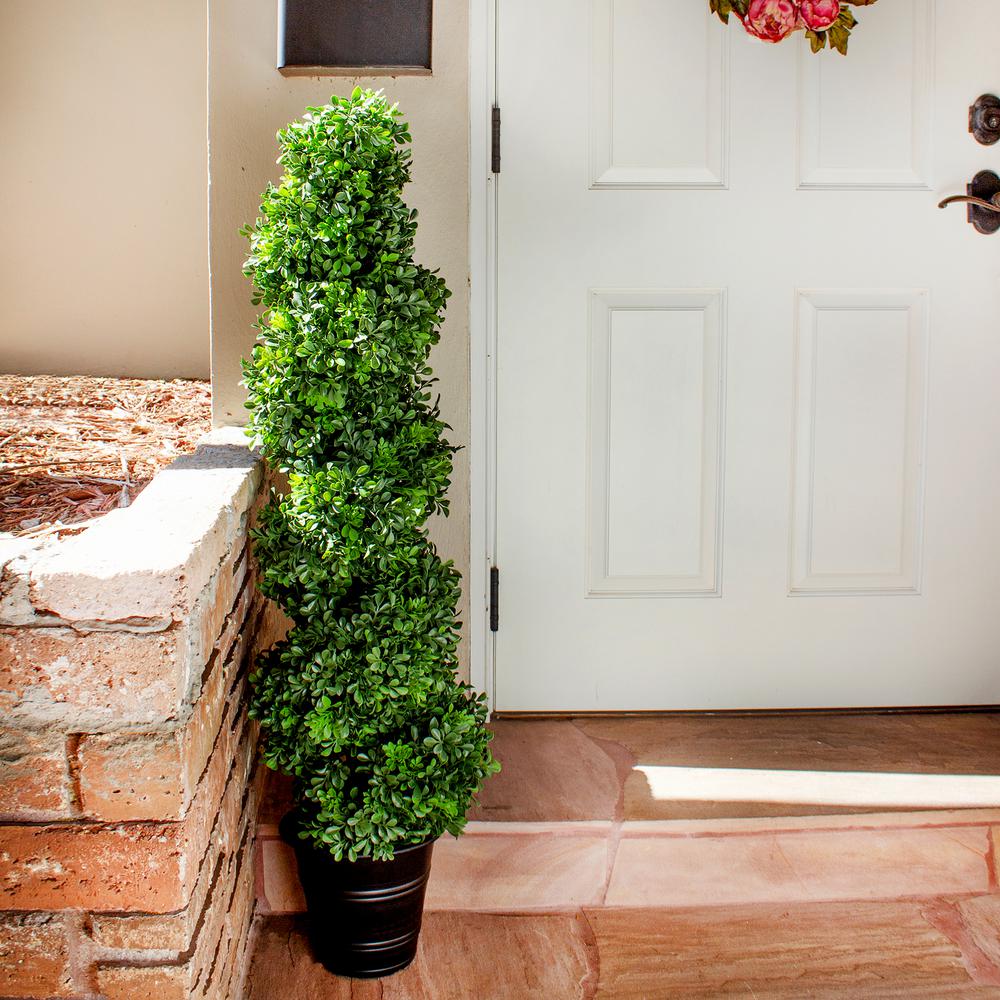 Boxwood Spiral Topiary with Planter (Indoor/Outdoor). Picture 4