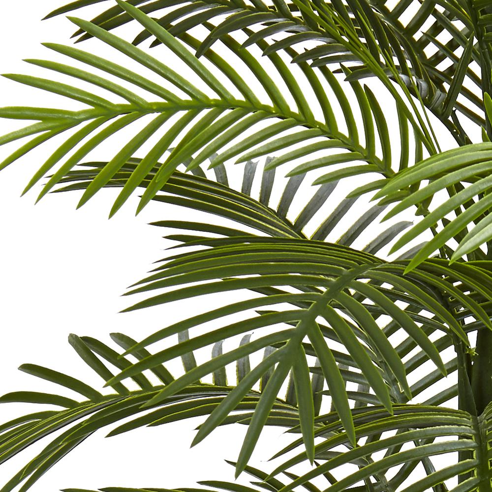 5.5ft. Double Robellini Palm Tree UV Resistant (Indoor/Outdoor). Picture 2
