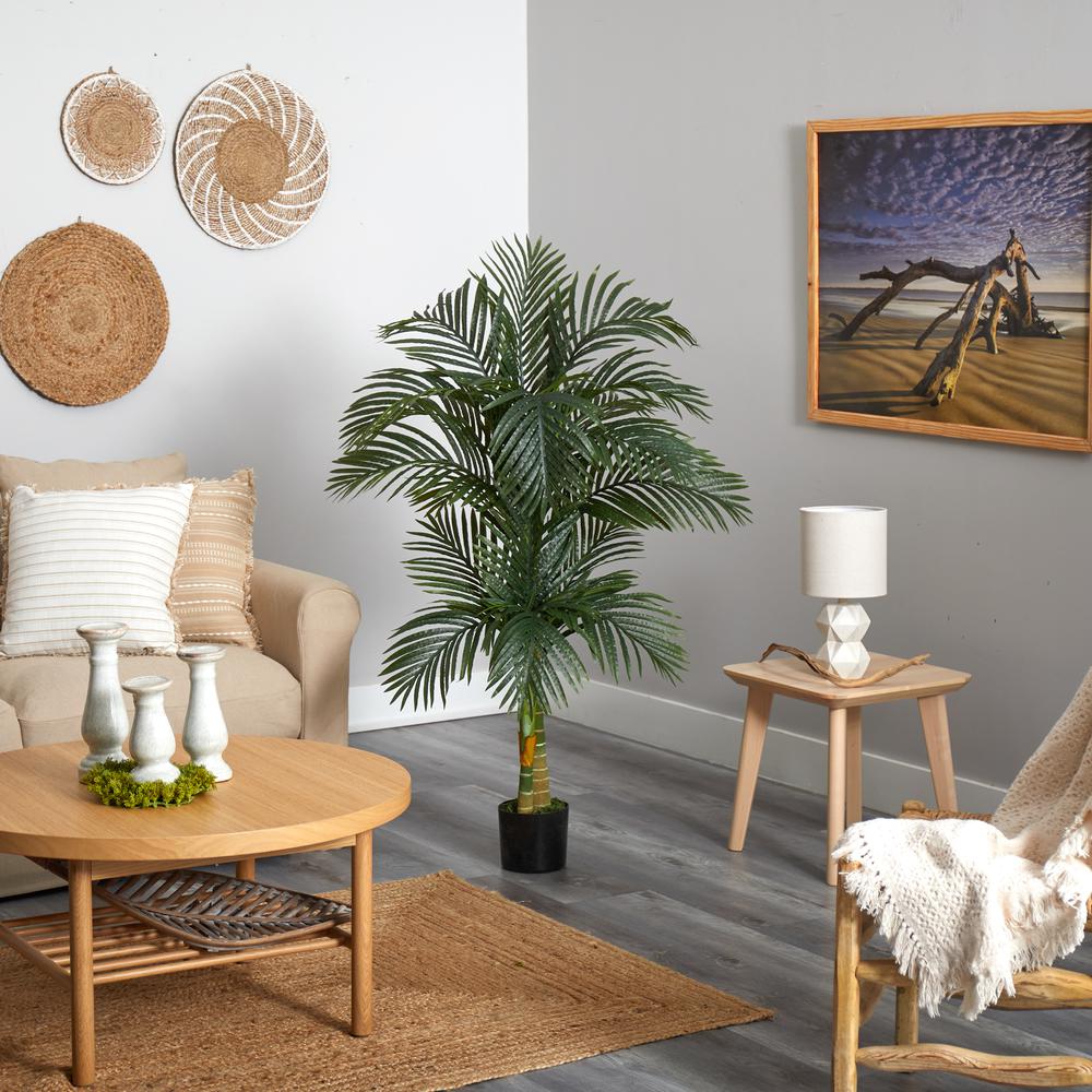 5.5ft. Double Robellini Palm Tree UV Resistant (Indoor/Outdoor). Picture 5
