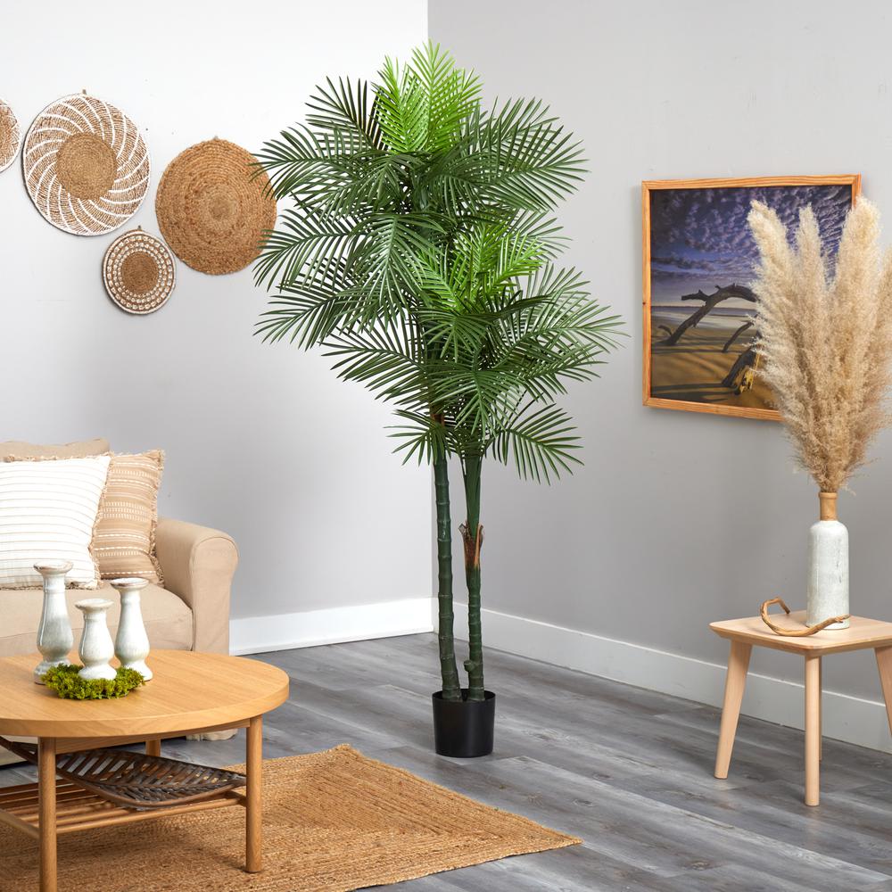 7ft. Double Robellini Palm Tree UV Resistant (Indoor/Outdoor). Picture 4