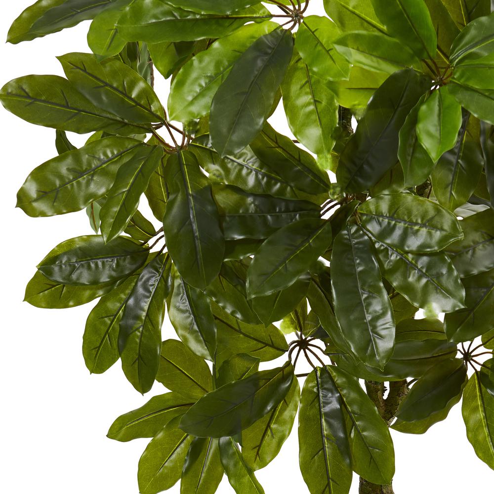 Schefflera Artificial Tree UV Resistant (Indoor/Outdoor). Picture 4