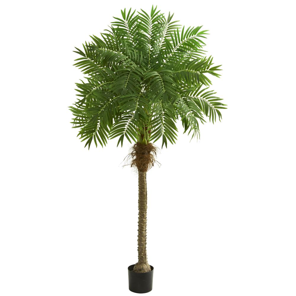 80in. Robellini Palm Artificial Tree. Picture 1
