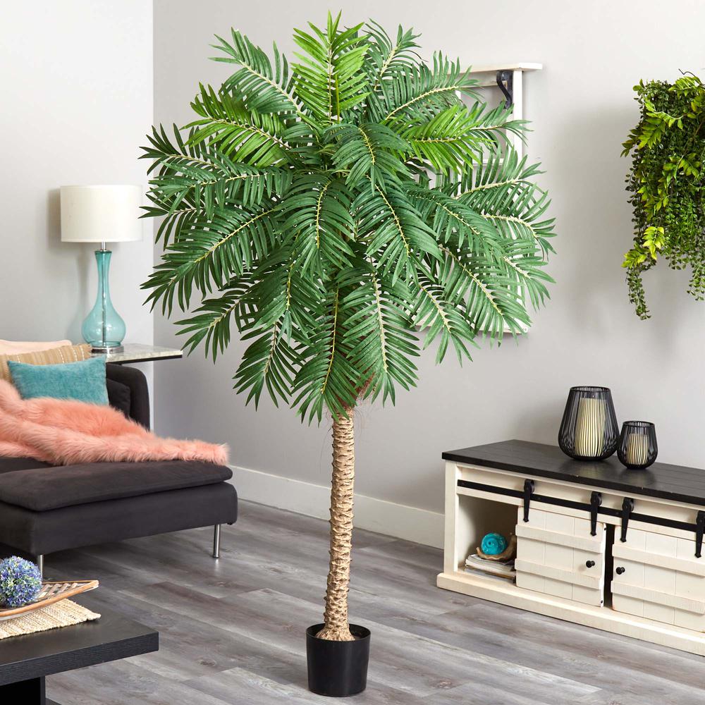 80in. Robellini Palm Artificial Tree. Picture 2