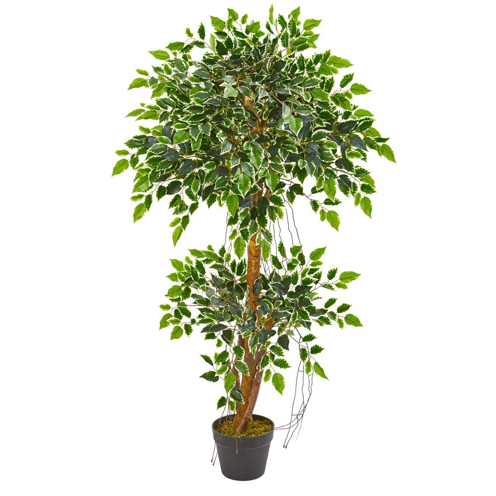 4ft. Variegated Ficus Artificial Tree. Picture 1