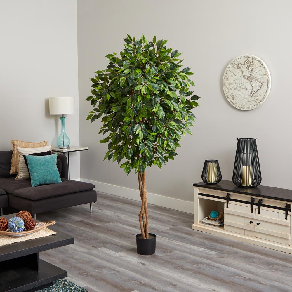 6.5ft. Ficus Artificial Tree. Picture 2