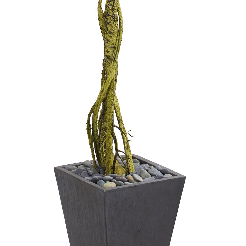 6ft. Ficus Artificial Tree in Slate Planter UV Resistant (Indoor/Outdoor). Picture 2