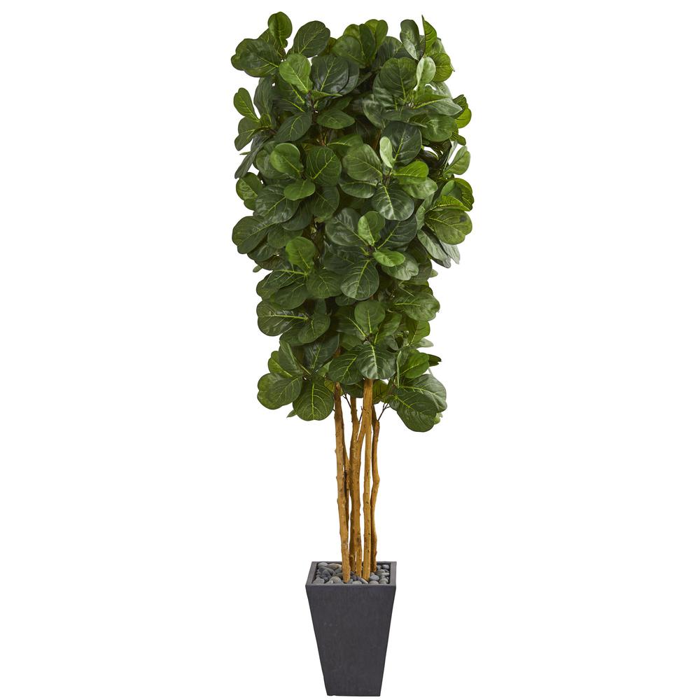 Fiddle Leaf Artificial Tree in Slate Planter. Picture 1