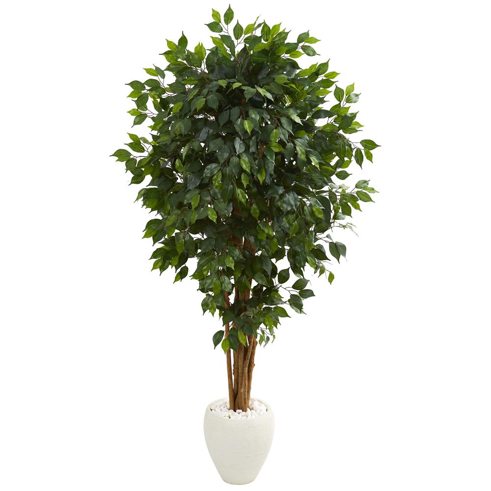 6ft. Ficus Artificial Tree in White Planter. Picture 1