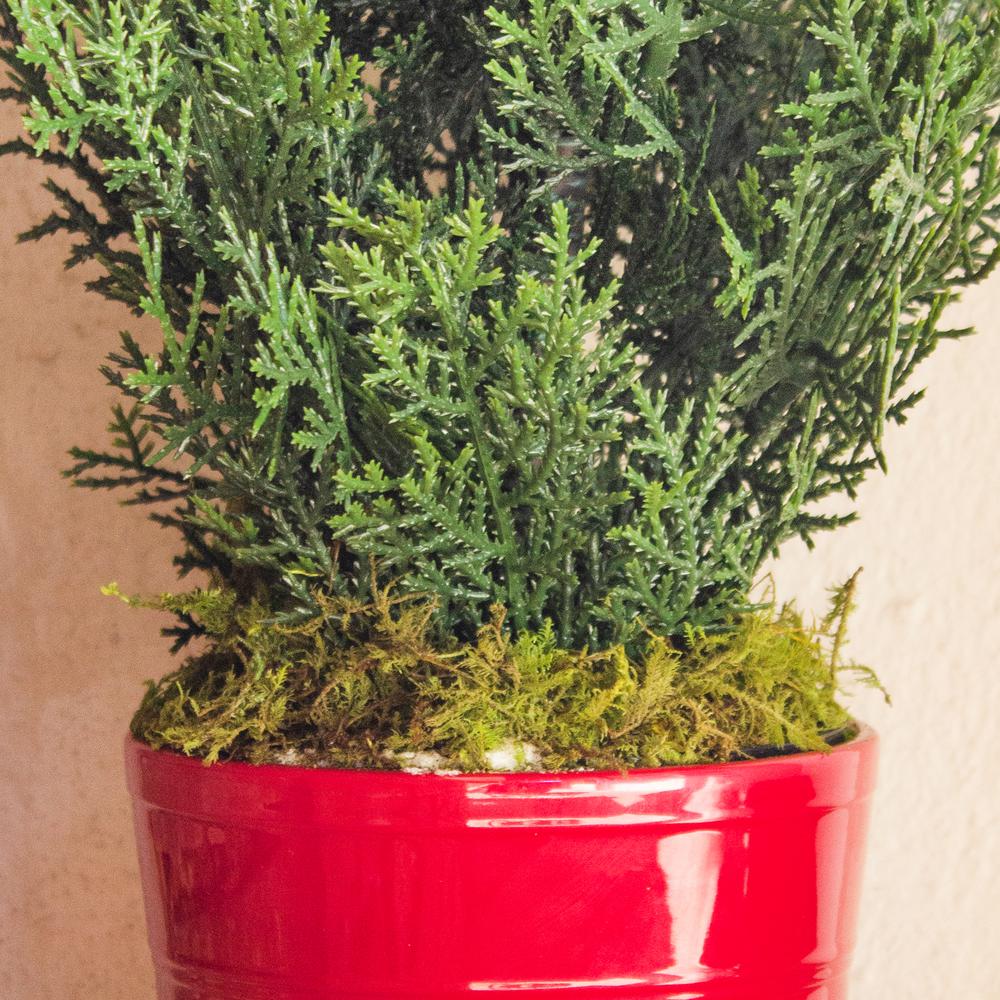 27in. Mini Cedar Artificial Pine Tree in Decorative Planter (Indoor/Outdoor). Picture 3