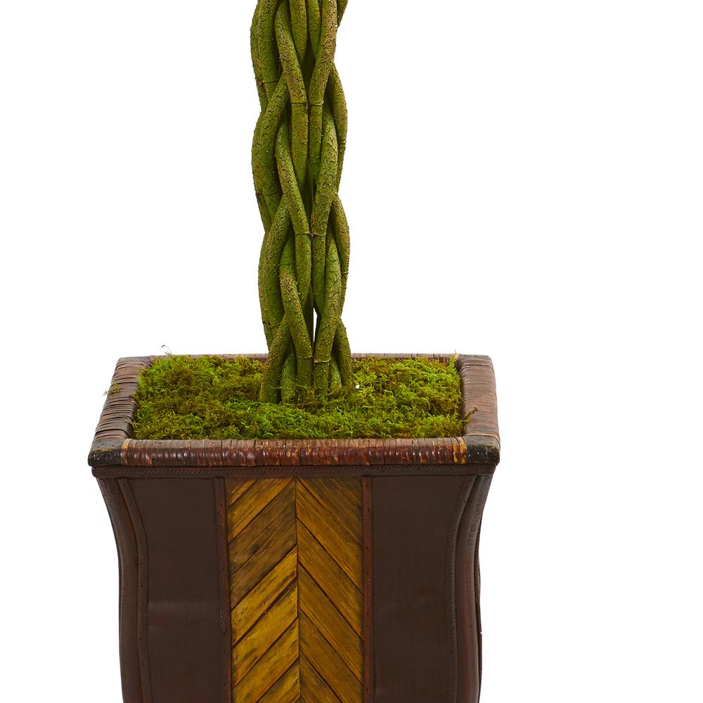 6ft. Braided Ficus Artificial Tree in Decorative Planter. Picture 2