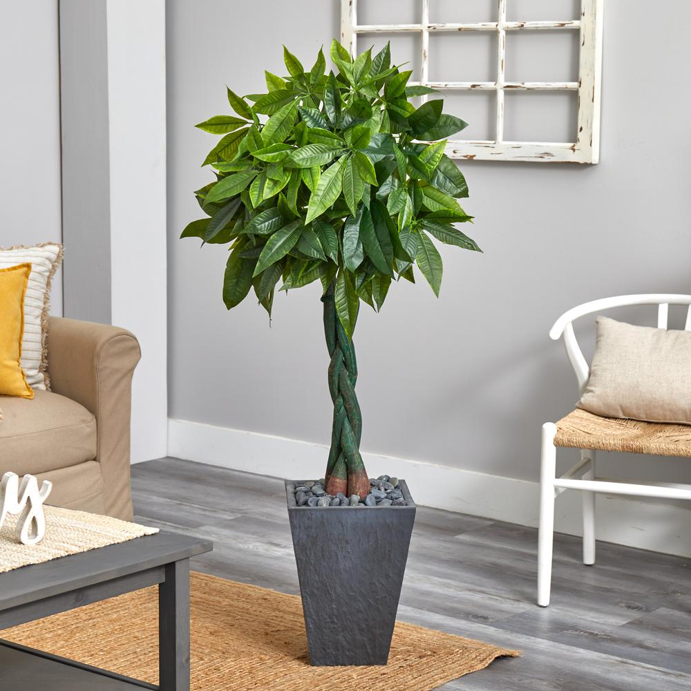5ft. Money Artificial Tree in Slate Planter (Real Touch). Picture 2