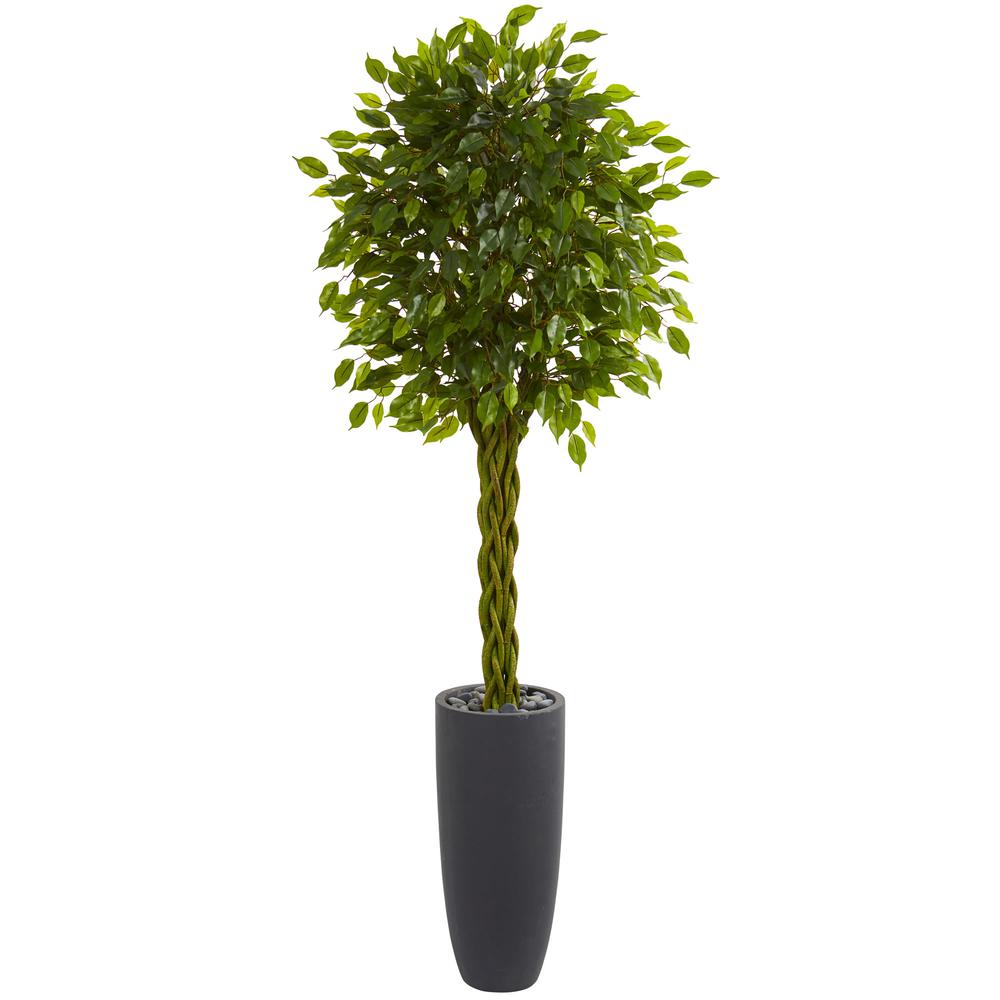 6.5ft. Braided Ficus Artificial Tree in Cylinder Planter UV Resistant (Indoor/Outdoor). Picture 1