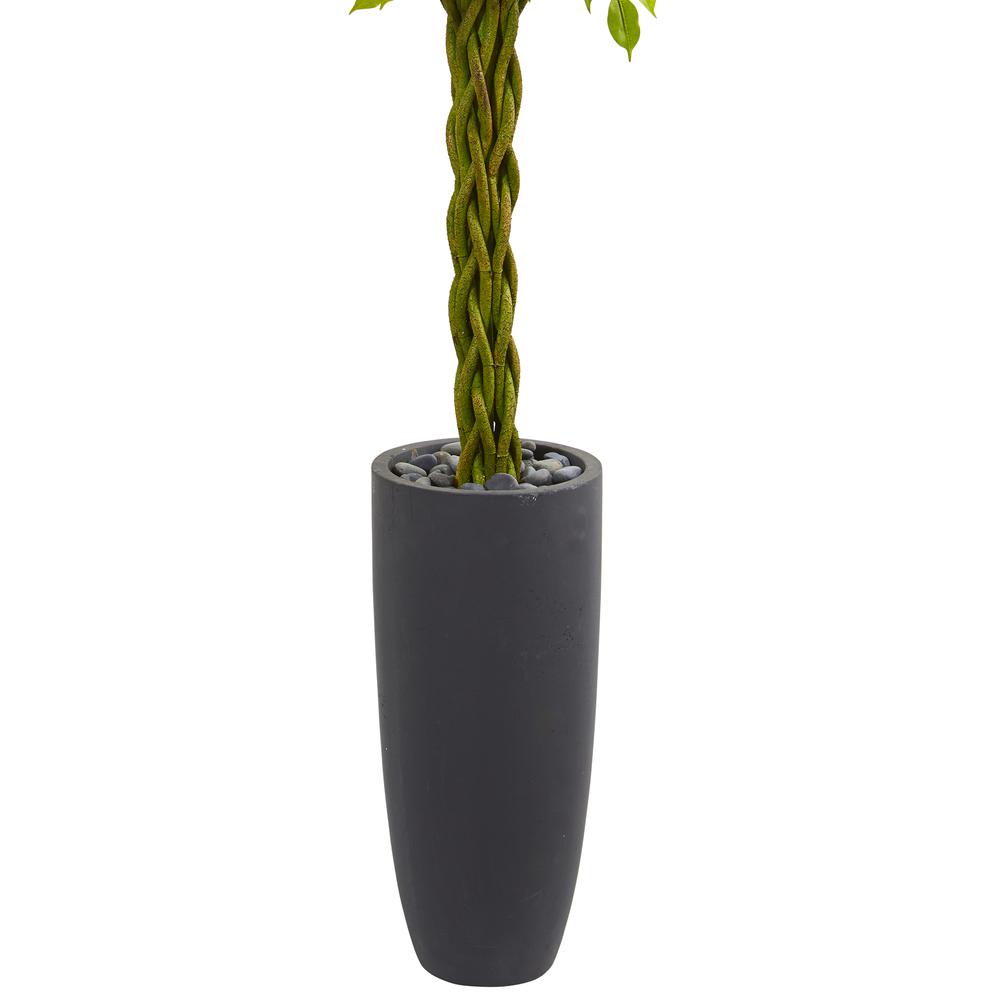 6.5ft. Braided Ficus Artificial Tree in Cylinder Planter UV Resistant (Indoor/Outdoor). Picture 2
