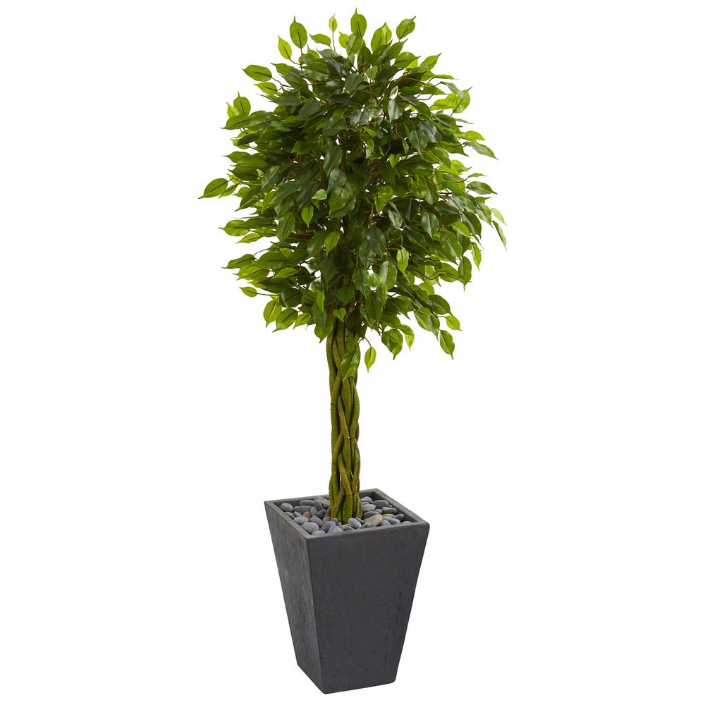 5ft. Braided Ficus Artificial Tree in Slate Planter UV Resistant (Indoor/Outdoor). Picture 1