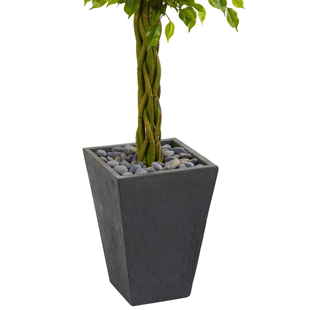 5ft. Braided Ficus Artificial Tree in Slate Planter UV Resistant (Indoor/Outdoor). Picture 2