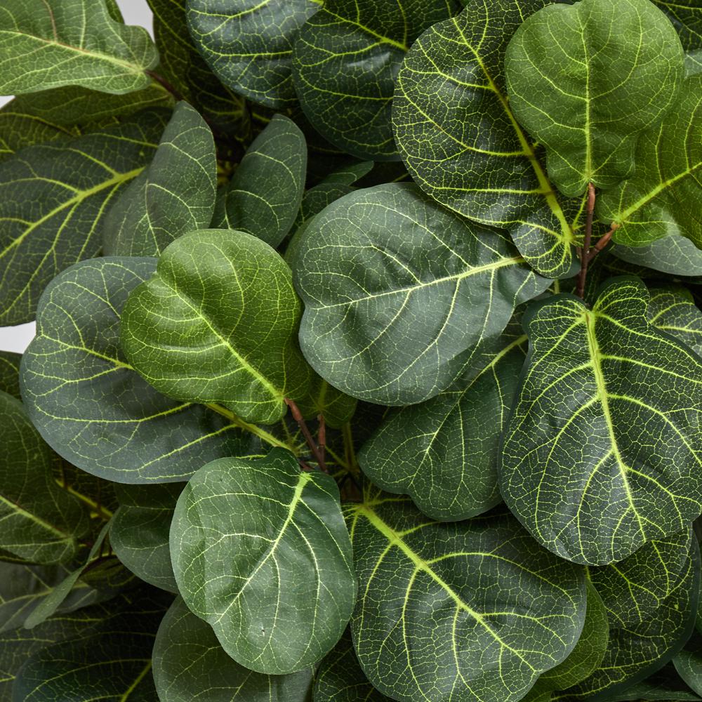 5ft. Fiddle Leaf Artificial Tree in White Tower Planter. Picture 4