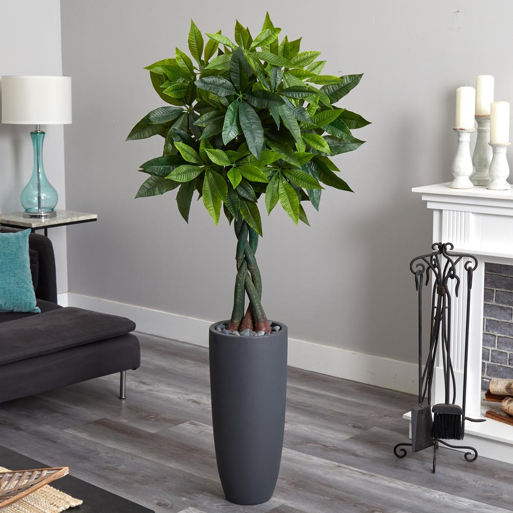 6ft. Money Artificial Tree in Gray Cylinder Planter (Real Touch). Picture 2
