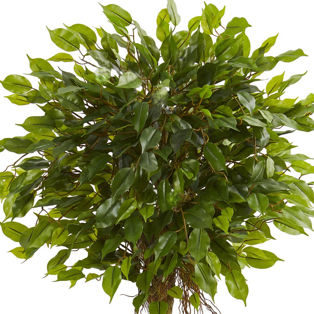 5.5ft. Ficus Artificial Tree in White Oval Planter UV Resistant (Indoor/Outdoor). Picture 2