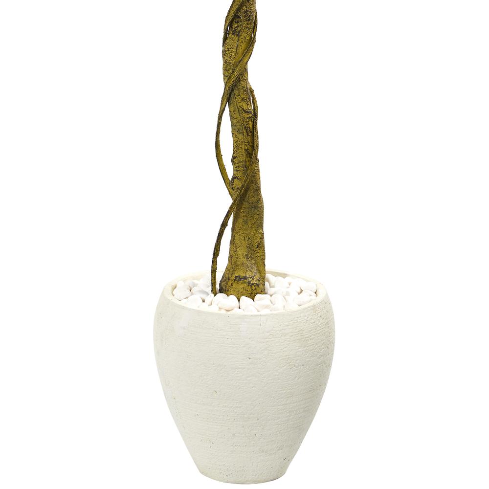 5.5ft. Ficus Artificial Tree in White Oval Planter UV Resistant (Indoor/Outdoor). Picture 3