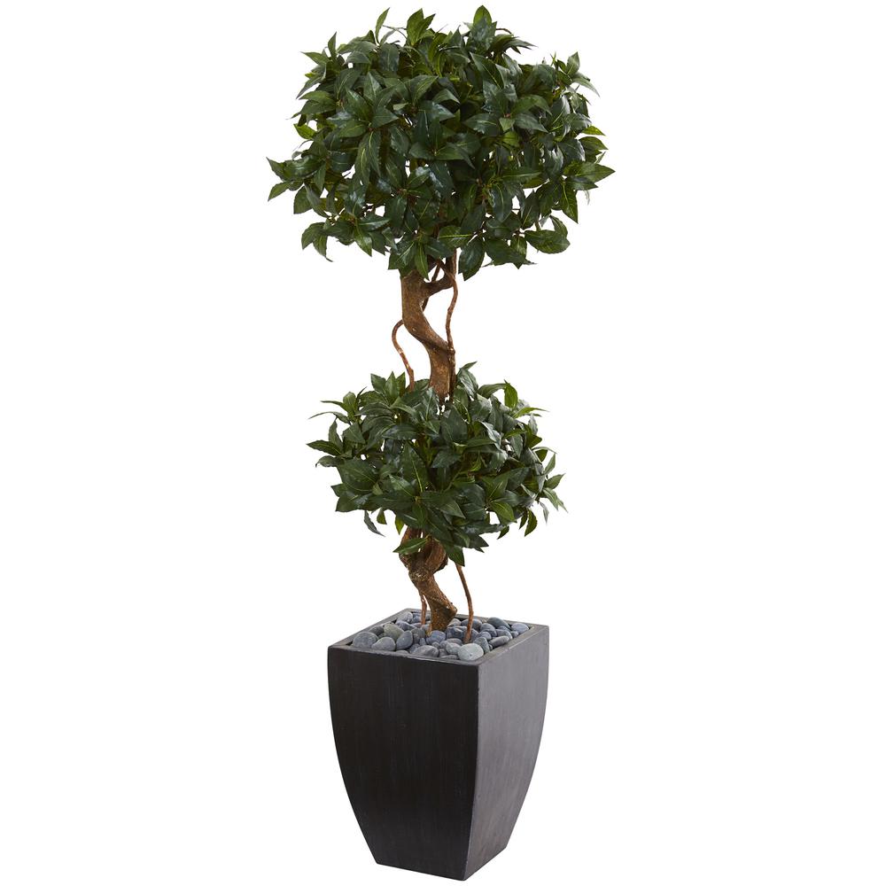4.5ft. Sweet Bay Artificial Double Topiary Tree in Black Wash Planter. Picture 1