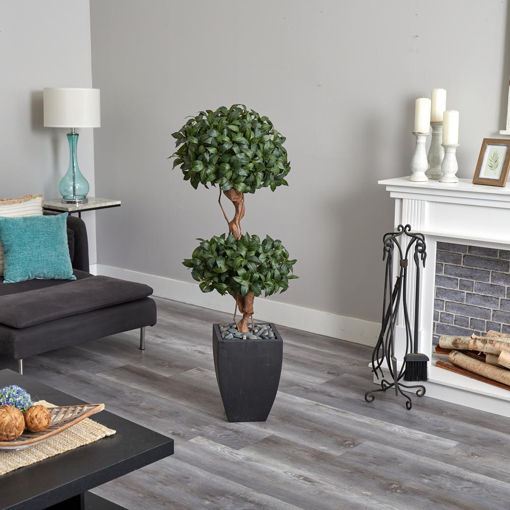 4.5ft. Sweet Bay Artificial Double Topiary Tree in Black Wash Planter. Picture 4