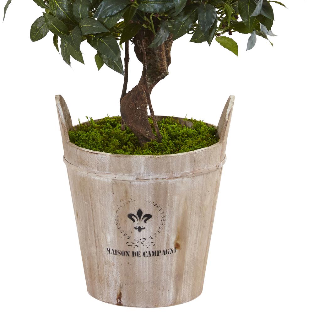 4.5ft. Sweet Bay Double Topiary Artificial Tree in Farmhouse Planter. Picture 3