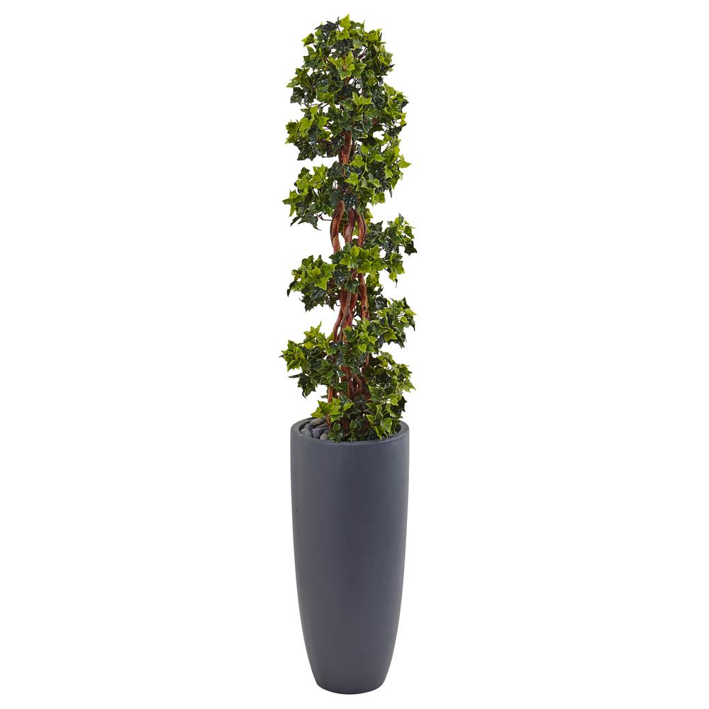 5ft. English Ivy Spiral Topiary Artificial Tree in Gray Cylinder Planter UV Resistant (Indoor/Outdoor). Picture 1