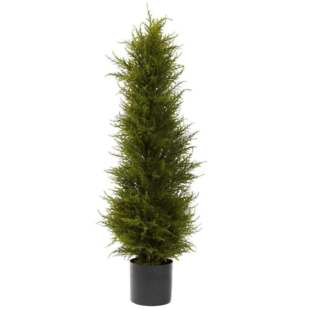 42in. Cedar Tree. Picture 1
