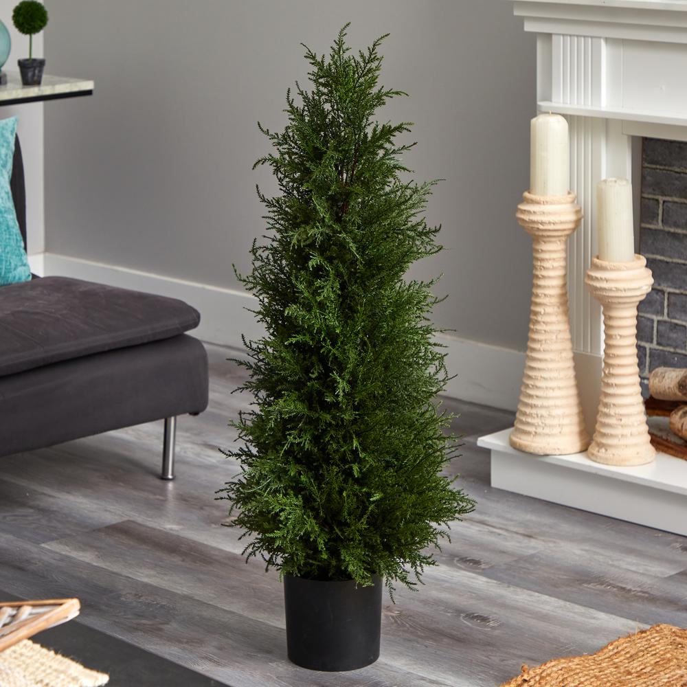 42in. Cedar Tree. Picture 2