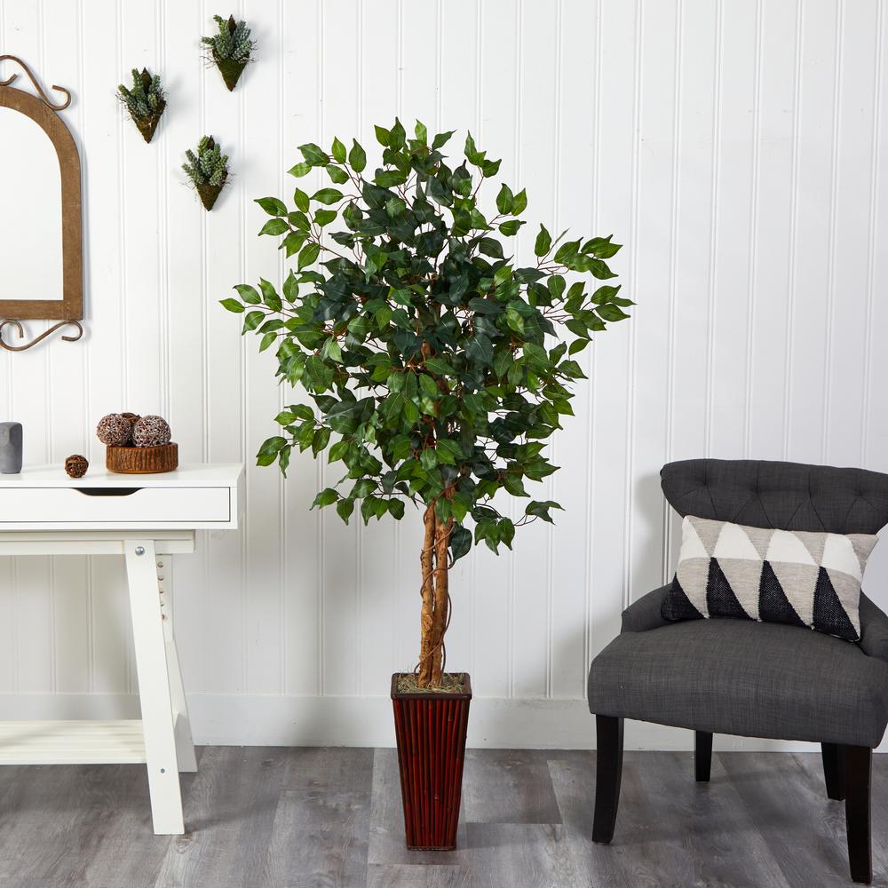 5.5ft. Ficus Tree with Bamboo Planter. Picture 2