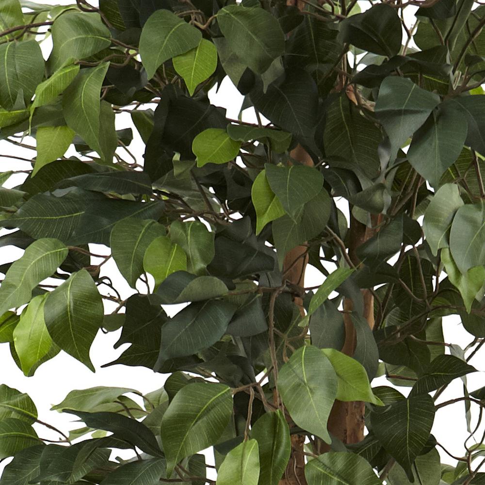 6.5ft. Ficus with Decorative Planter. Picture 2