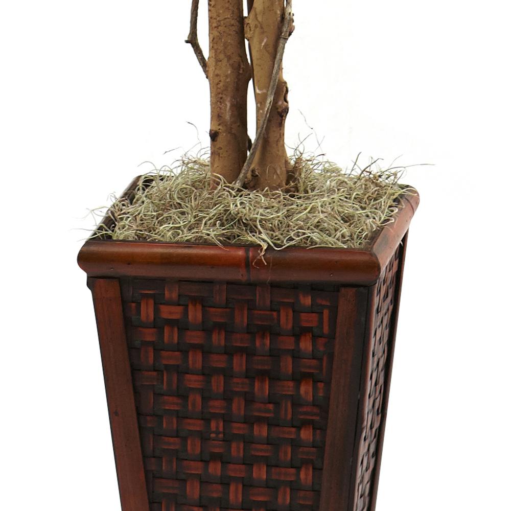 6.5ft. Ficus with Decorative Planter. Picture 3