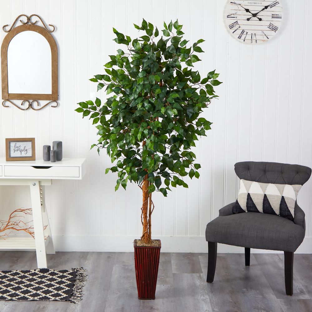 6ft. Ficus Tree with Bamboo Planter. Picture 3