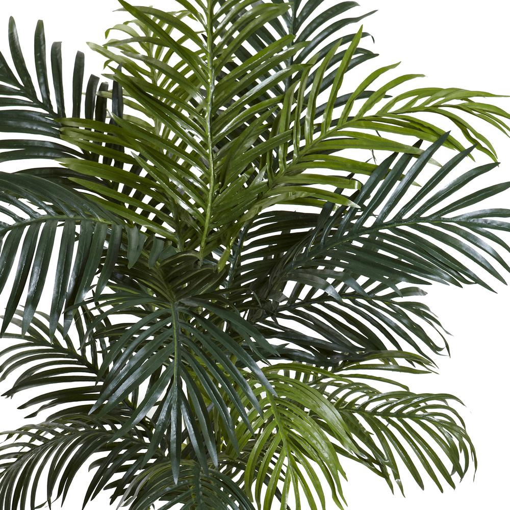 4.5ft. Golden Cane Palm with Decorative Container. Picture 4