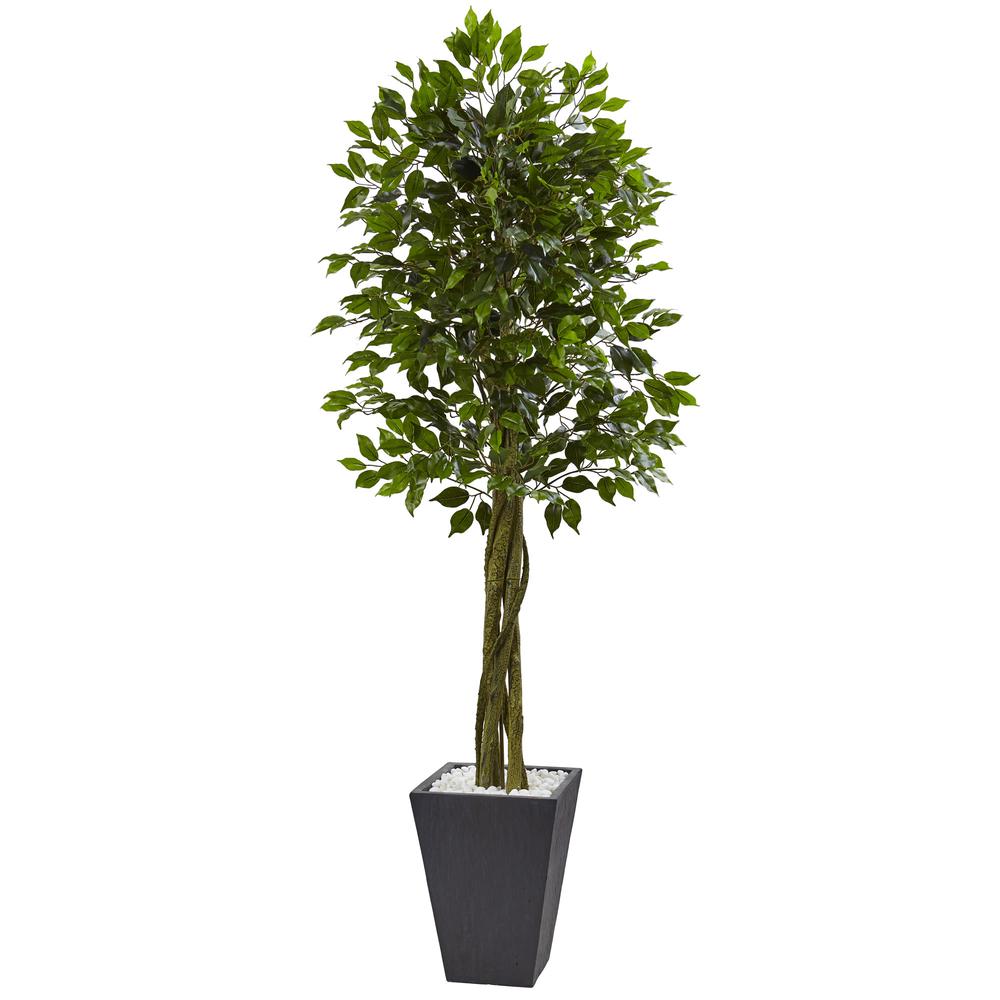 6.5ft. Ficus Artificial Tree with Slate Planter, UV Resistant (Indoor/Outdoor). Picture 1