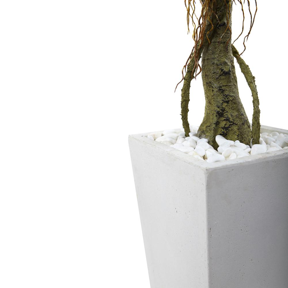 52in. Ficus Tree with White Planter, UV Resistant (Indoor/Outdoor). Picture 2