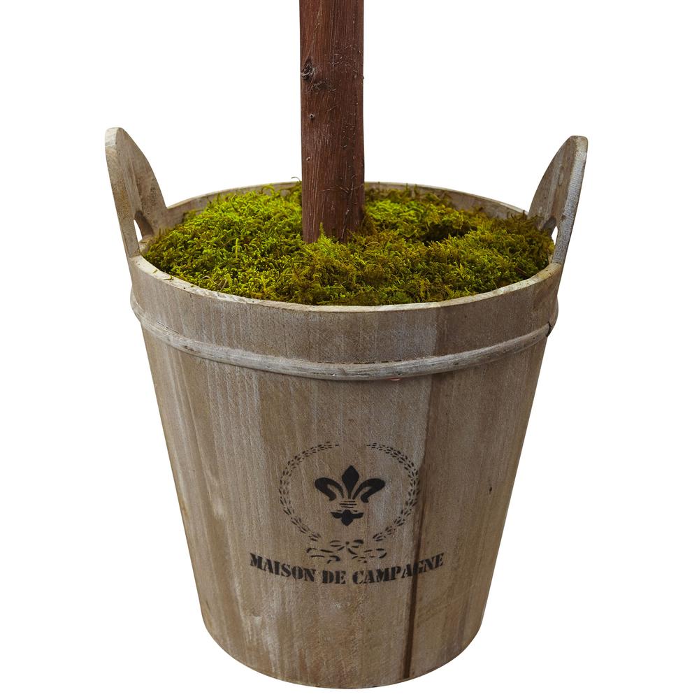 4.5ft. Olive Topiary Tree with European Barrel Planter. Picture 10