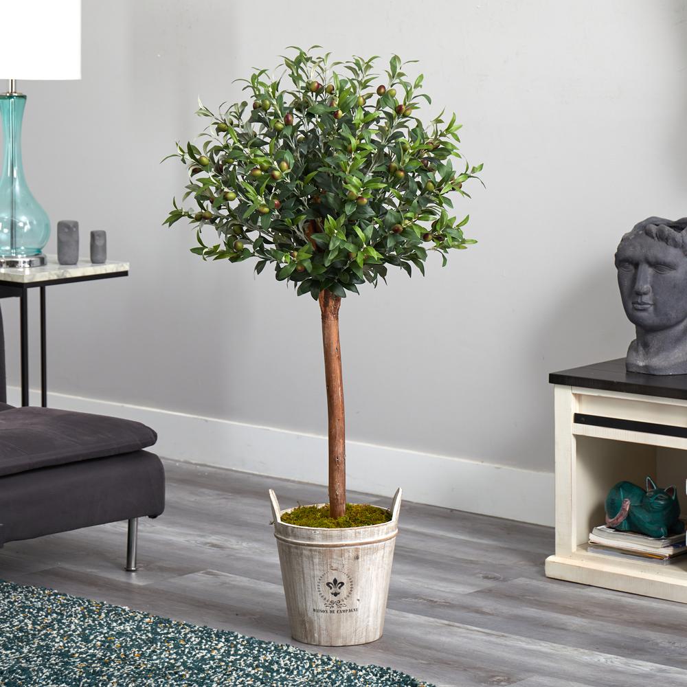4.5ft. Olive Topiary Tree with European Barrel Planter. Picture 7